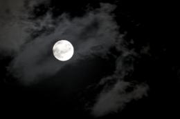 Eery Moon Picture